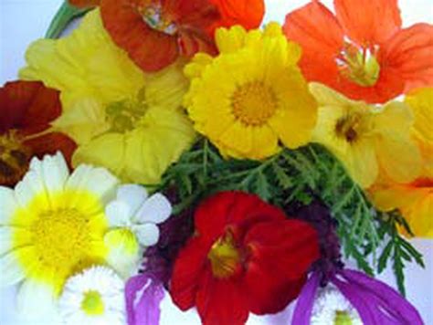 Mix De Flores Comestibles Jardineriadelvalles