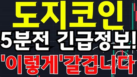 도지코인 전망 5분전 긴급정보 입수 앞으로 이렇게 갈겁니다 YouTube