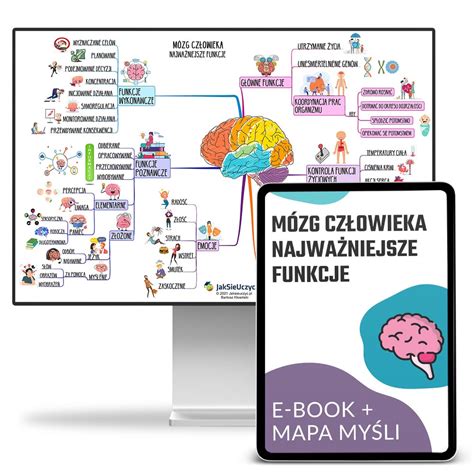 Mózg człowieka Jak Się Uczyć Sklep