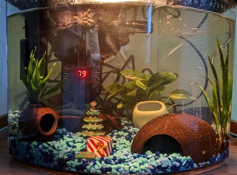 My Humble Five Gallon Is Coming Together Any Feedback Or Suggestions