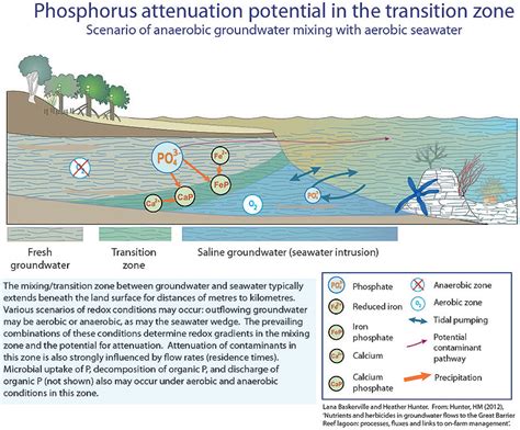 Modelling Groundwater Transport Of Nutrients And Herbicides