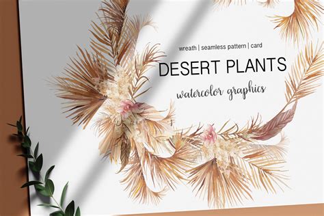 DESERT PLANTS | Illustrations ~ Creative Market