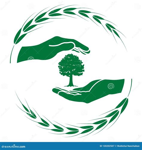 Green Tree Logo Stock Vector Illustration Of Frame 120202507