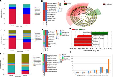 Frontiers Exploring The Association Between Cervical Microbiota And