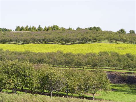 Michigan | Landscape, Farmland, Outdoor