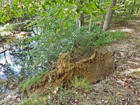 Jax Stumpes Middletown Pa Sleighton Park And Millennium Trails 929
