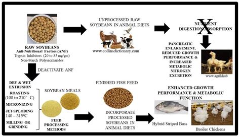 Agronomy Free Full Text Current Agronomic Practices Harvest Post