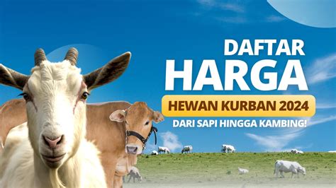 Daftar Harga Hewan Kurban 2024 Dari Sapi Hingga Kambing