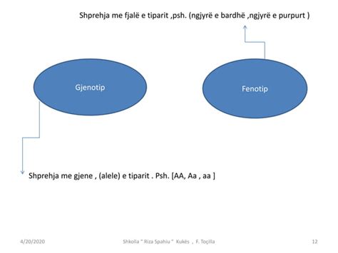 Ligjet E Mendelit PPT