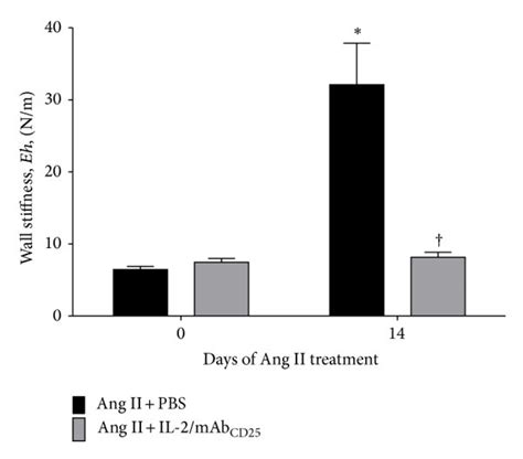 The IL 2 MAb CD 25 Complex Prevents Vascular Stiffness Induced By Ang