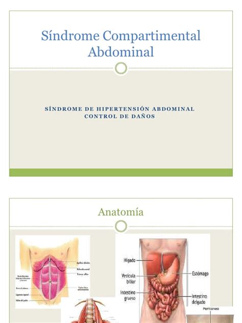 PDF 8 Síndrome Compartimental Abdominal DIANA EVANGELISTA DOKUMEN TIPS