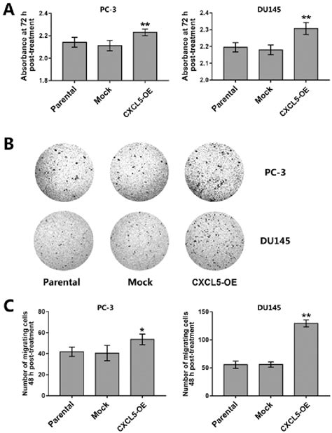 Effects Of Cxcl Overexpression On Prostate Cancer Cell Proliferation