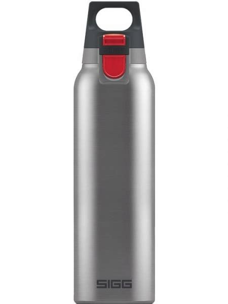 Termos na napoje Sigg Hot Cold ONE Brushed l srebrny porównaj ceny Allegro pl