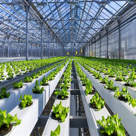 Hydroponics Technician - Sensei Institute Of Technology
