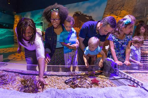 Spring Break | SEA LIFE Kansas City
