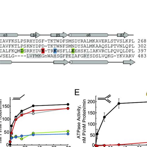 Harp Is A Dna Binding Domain A Structure Based Sequence Alignment