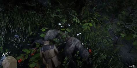 Red Dead Redemption 2 How To Get The Legendary Bear Pelt And What You Can Do With It