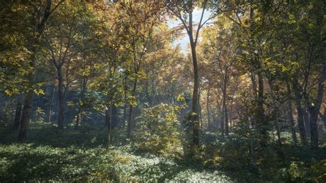 Thehunter Call Of The Wild Forest Sunlight Hd Wallpaper