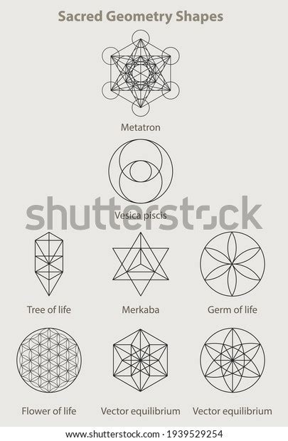 Sacred Geometry Shapes Set Eight Examples Stock Vector Royalty Free