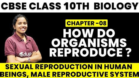 Cbse 10th Biology Chapter 3 How Do Organisms Reproduce Sexual