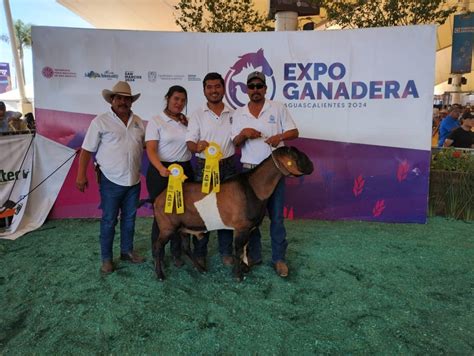 Ganado caprino de la Facultad de Agronomía y Veterinaria triunfa en la