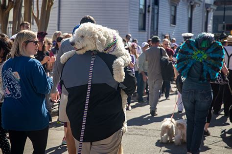 Photos: Krewe Of Barkus 2019 – Via Nola Vie