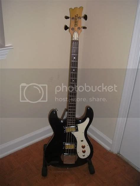 What was your first bass? : r/Bass