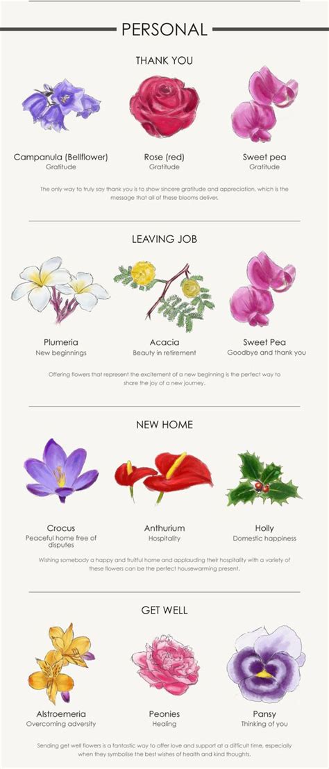 A Flower For Every Occasion Your Complete Guide Flower Meanings Beautiful Flowers Garden