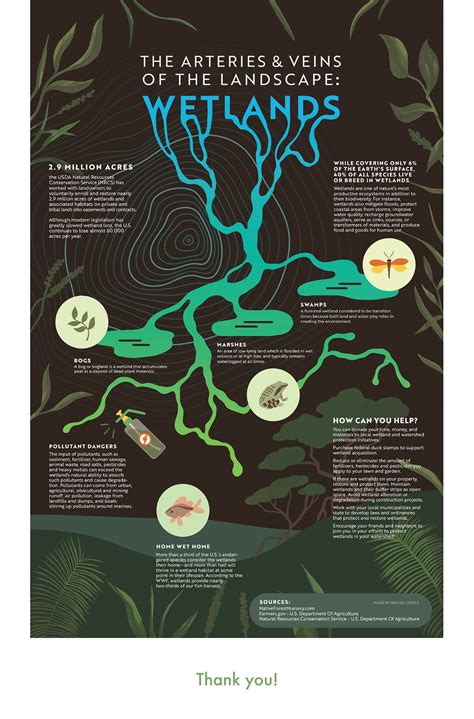 Wetlands Infographic on Behance
