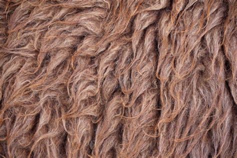 Llama Wool Texture Background Alpaca Wool Fiber Natural Brown