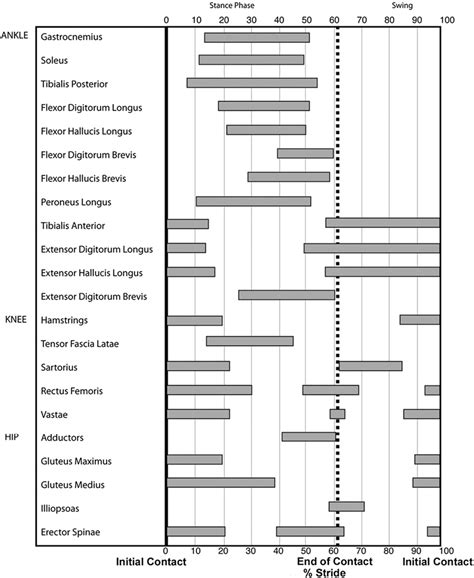 Figure 5 from Instrumented Gait Analysis: A Tool in the Treatment of ...