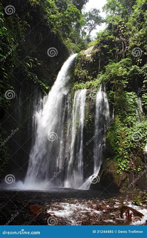 Ansicht Des Wasserfalls Im Dschungel Stockbild Bild Von Felsen Klima