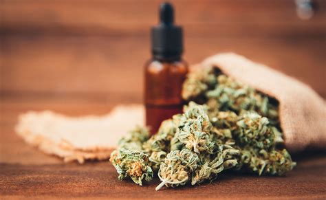 Beneficios Del Aceite Cbd Usos Terapéutivos De Este Suplemento Nutricional