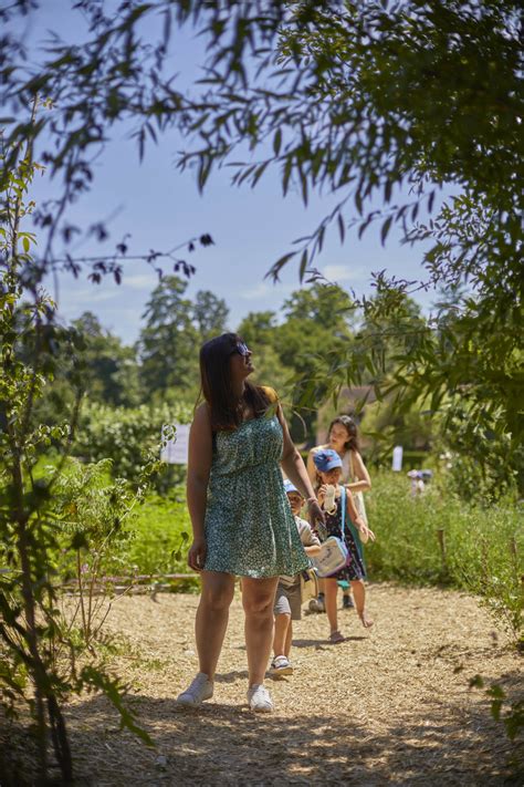 Jardins Labellis S Jardin Remarquable Parc De Wesserling