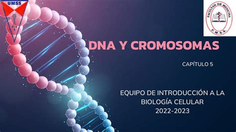 DNA Y Cromosomas Cinthia1 UDocz