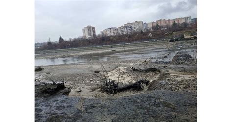 Сърна затъна във Водното огледало, спасиха я пожарникари
