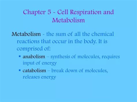 Ppt Chapter Cell Respiration And Metabolism Powerpoint