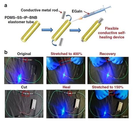 《自然·通讯》：拉伸达14000％！高度可拉伸自修复弹性体，可在各种极端条件下实现自修复 知乎