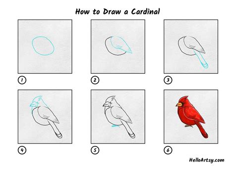 How To Draw A Cardinal Helloartsy