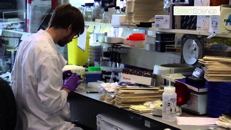 Extracellular Matrices Innovative Cancer Research At Beatson Institute