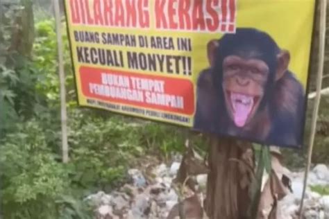 Abaikan Larangan Warga Argomulyo Cangkringan Sleman Tetap Buang Sampah