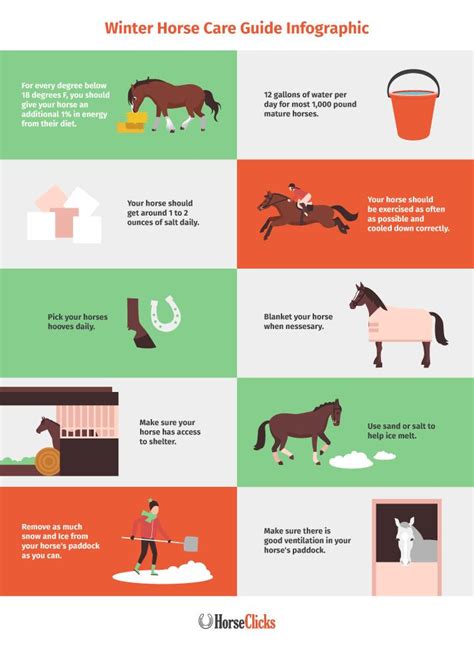 Info Graph: Winter Horse Care | HORSE NATION