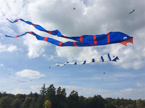 Drachen Locken Besucher Nach Weingarten