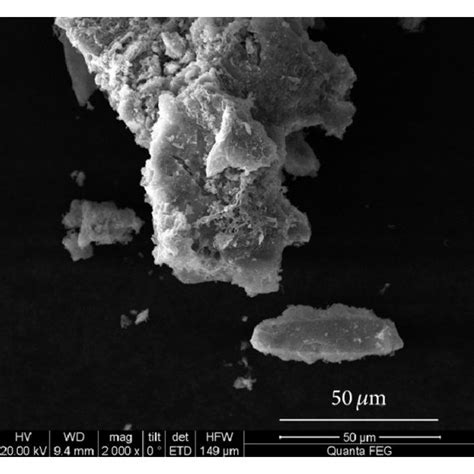 SEM Micrographs Depict Mg0 5Zn0 5Fe2O4 Ferrites With Diameters Of