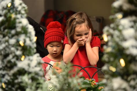 All Aboard For The Chicago Botanic Gardens Wonderland Express