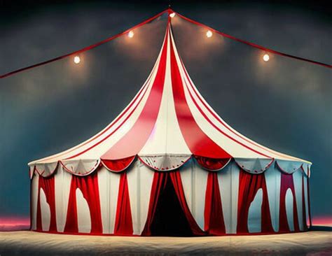 Pin By Jane On Circus Macabre Circus Aesthetic Circus Illustration Circus Tent