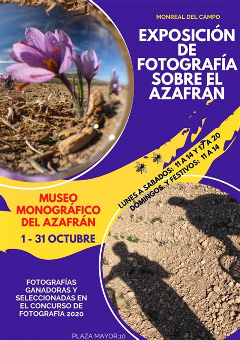 Exposici N De Fotograf A Sobre El Azafr N Monreal Del Campo