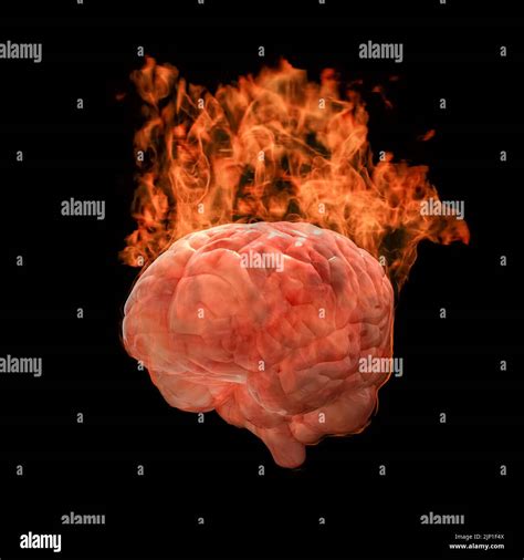 D Rendering Of A Human Brain S Burning On Fire With Hot Flame Stock