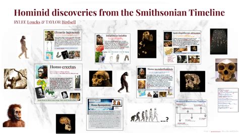 Hominid discoveries from the Smithsonian Timeline by Taylor Birdsell on ...