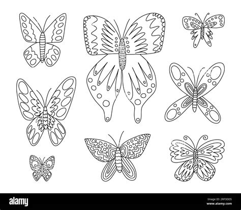 Peacock Butterflies Stock Vector Images Alamy